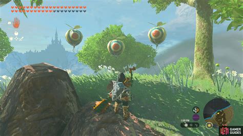 korok seed puzzles botw